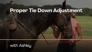Proper Tie Down Adjustment with Ashley Schafer on Between The Reins