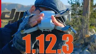 🔴DJI Fly UPDATE - Mini 2 PRUEBA DISTANCIA🚀