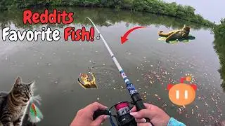 Bank Fishing for Big Saltwater Catfish &ndash; Easy Ocean Fishing from Shore!