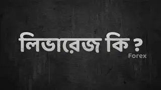 লিভারেজ কি এবং লিভারেজের সুবিধা এবং অসুবিধা কি কি | What is leverage? @TradingX24