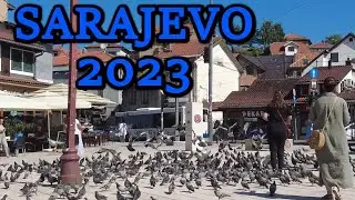 TV Tinja - Sarajevo 2023
