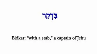 H920 בִּדְקַר