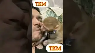 funny video . tkm funny video