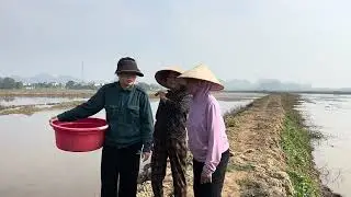 Mu lập đến Van Xin Nguyệt Cấy Nhường lại Cho 1 sao Ruộng 