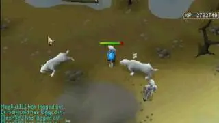 runescape kyatt hunting