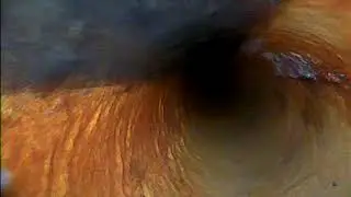 00000026
