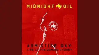 Put Down That Weapon (Live At The Domain, Sydney)