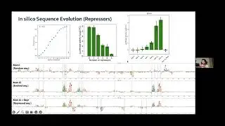 Cell type directed design of synthetic enhancers | Neurogenomics Seminar