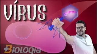 Vírus, tipos de vírus e doenças (Mais Biologia, com Roger Maia)