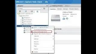 Configure and Administer Advanced vSphere 6 Networking
