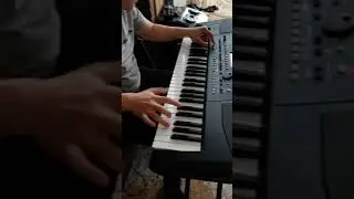 Полька korg 2020