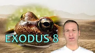 Exodus Chapter 8 Summary And What God Wants From Us