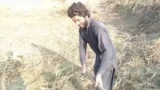ٹائٹل:
