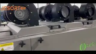 Bell pepper washing drying size grading machine, capsicum washing drying grading machine