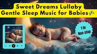 Sweet Dreams Lullaby | 
