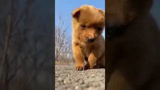 #exploreamerica #adventuretravel #americanhistory #americanwonders #coastaladventures #wanderlust