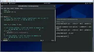 Checking for Endianness Using C - Big Endian vs Little Endian