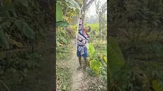 এত বড় সাপের খোলস জীবনে দেখিনি | 😱🐍 | #minivlog #vlog #shorts