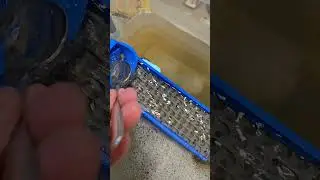 The BEST Creek Clean Out Method for Finding GOLD