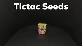 Tictac Seeds Jeera Black Salt
