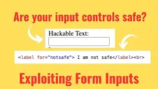 Javascript and Web Security || Exploiting HTML Input Controls || Pt3 || #javascript #websecurity