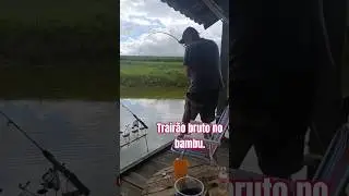 Trair&atilde;o das brutas, pesca caipira na vara de bamb&uacute;.