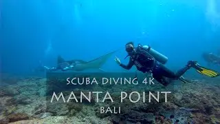 Scuba Diving in Bali - Manta Point & Crystal Bay(4k video)