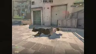 kokemones 3 Deathlaw el maestro de la USP (?