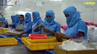 Fishing Industry of Gujarat