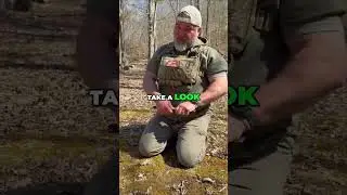 Uncovering Wildlife Secrets: Tracking Turkey Activity in the Woods