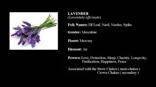 Lavender Essential Oil Frequency | 14,750,000 Hz Healing Tone | Isochronic Sound (Experimental)