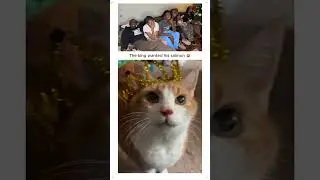 The king wanted his salmon 😂🤣