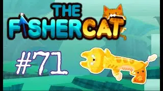 THE BEST HARPOON MK2!! /Fisher Cat #71
