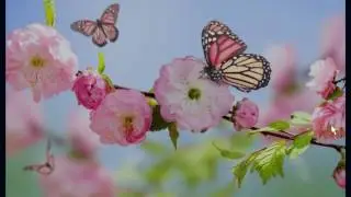 [Amajeto] Amajeto Hotel: Spring Walkthrough