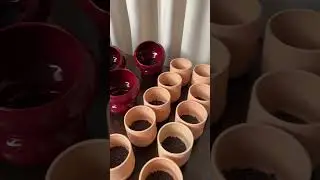 come with me to a spring repotting class #repottingandreplanting #repottingplants