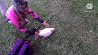 PESCARIA DE lob&oacute; EM BUSCA DA 70 UP Pescaria . pescria de lob&oacute; Pescaria de pacu