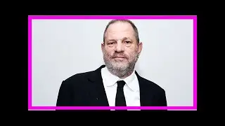 Gavin polone on harvey weinstein and who's to blame: 