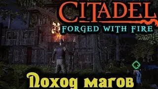 Поход в далекие земли - Citadel: Forget With Fire Стрим