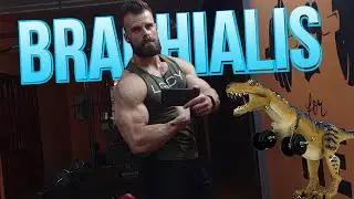Vežbe za BRACHIALIS | Večernja škola vežbanja E6