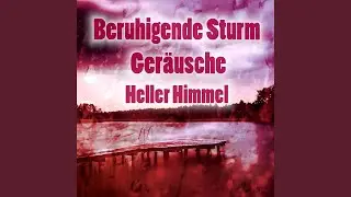 Regenguss