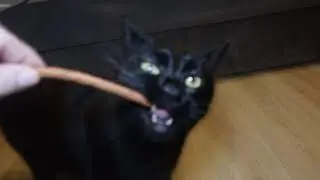 treat