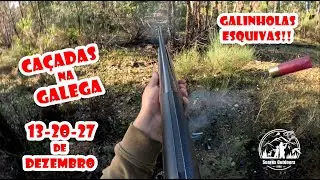 Ca&ccedil;adas na Galega (13,20 e 27-12-2025) - Galinolas Esquivas!!