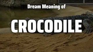 Crocodile Dream Meaning & Symbolism