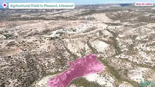 Field in Pissouri, Limassol | Web ID: 42642