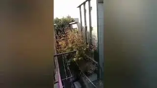 Quarantine sucks at home