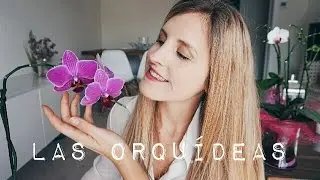 Como cuido mis ORQUIDEAS | BLONDEBE