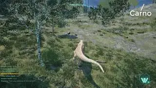 Stalking [The Isle]
