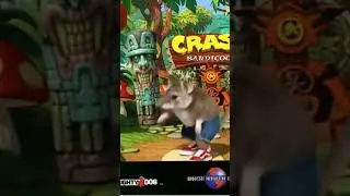 crash bandicoot in real life #ai #crashbandicoot #playstation