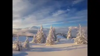 Carpathian Winter