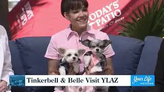Sam, Tinkerbelle the dog & Belle the dog appear on Arizona Family &ldquo;Your Life&rdquo; episode.